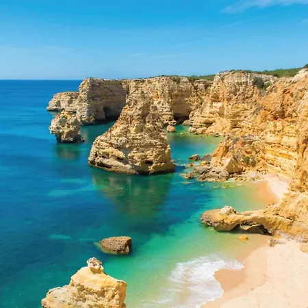 Avec Piscine - Appartement *